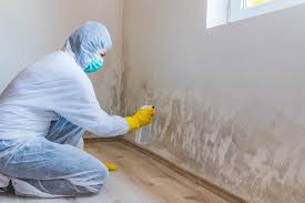 Horace, ND Mold Prevention & Removal  Company